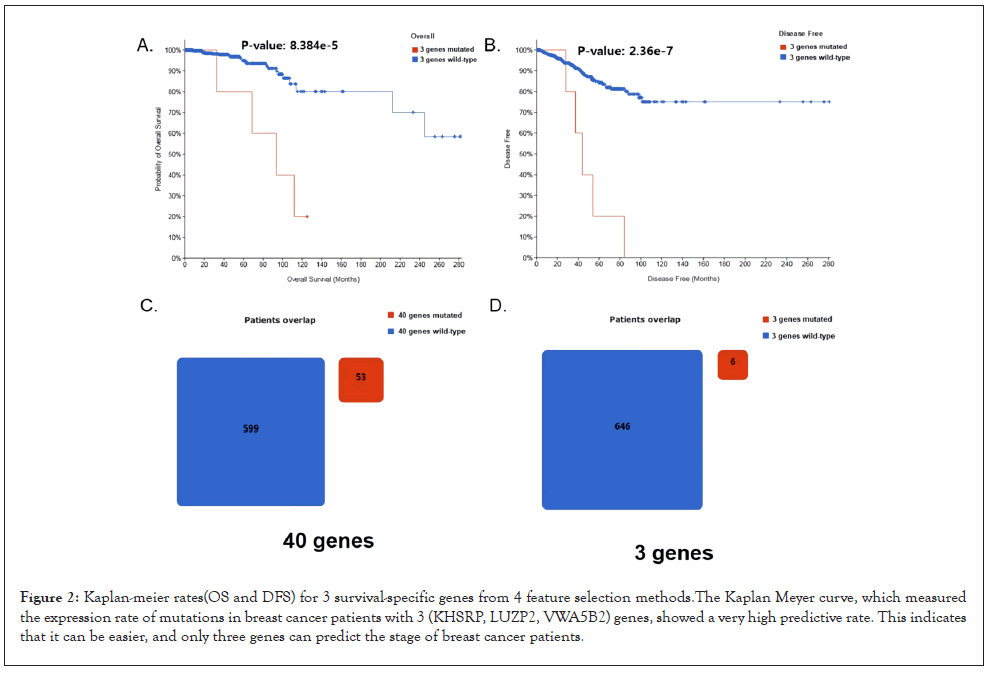 Carcinogenesis-genes