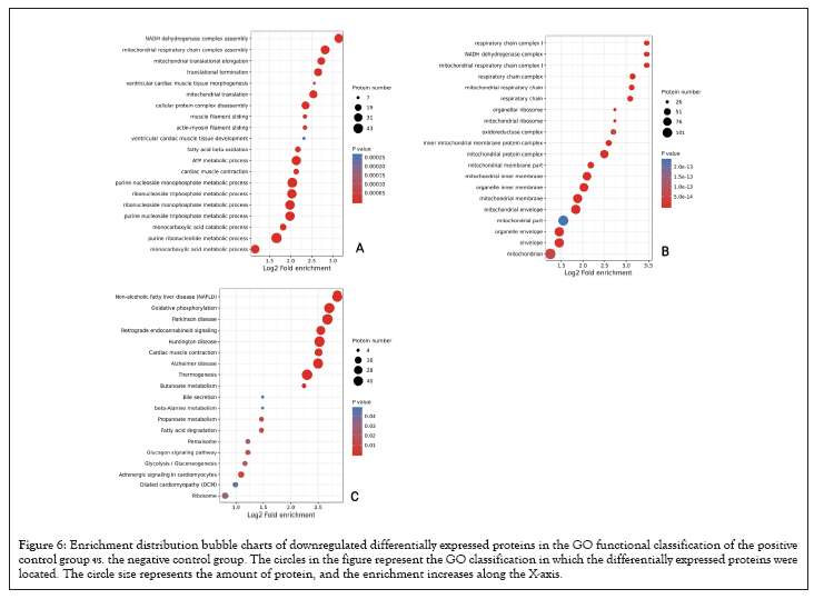 data-mining-classification