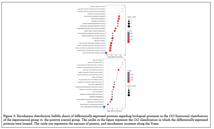 data-mining-enrichment