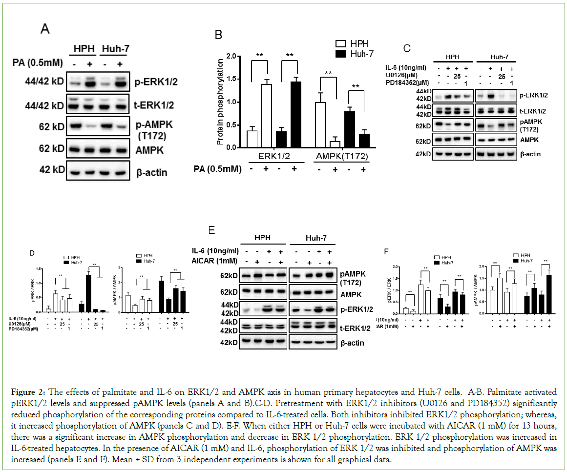 biomolecular-research-Pretreatment