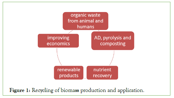 environmental-biotechnology-biomass