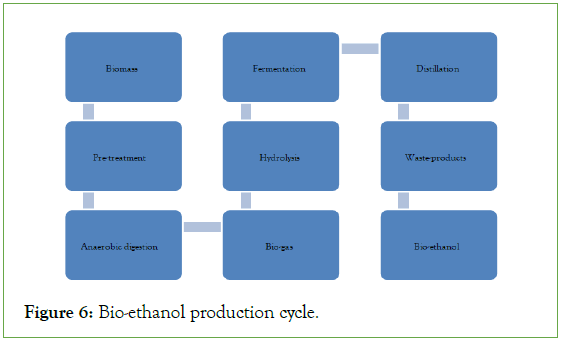 environmental-biotechnology-ethanol