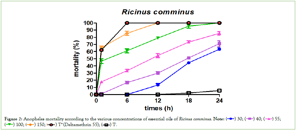 /tropical-diseases-ricinus