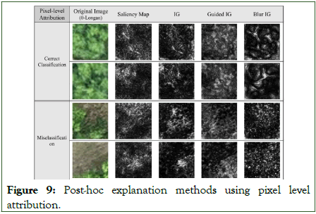 Agrotechnology-Post-hoc