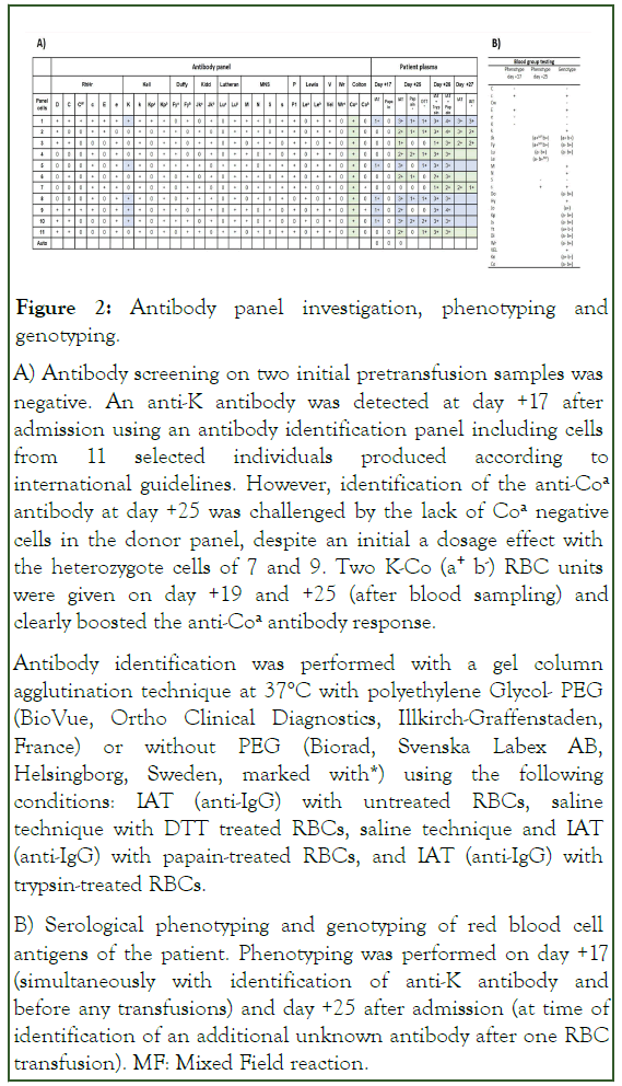 Blood-Antibody