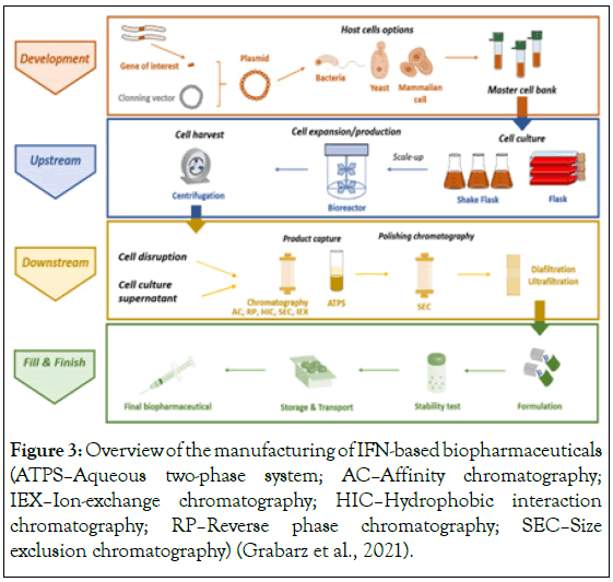 Drug-Safety-chromatography