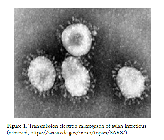 Drug-Safety-electron