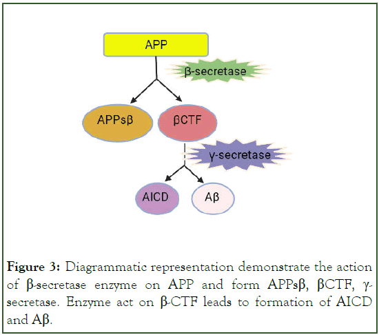 Experimental-Pharmacology-Diagrammatic