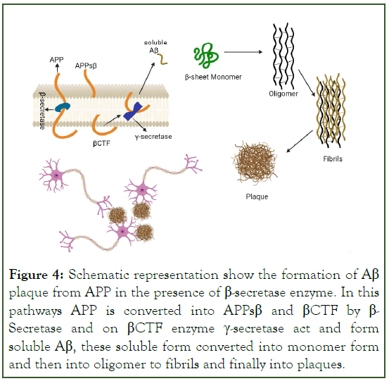 Experimental-Pharmacology-Schematic