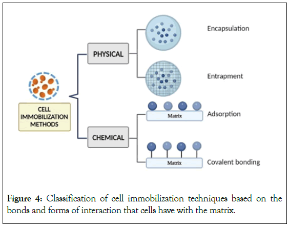 Microbial-Biochemical-Classification