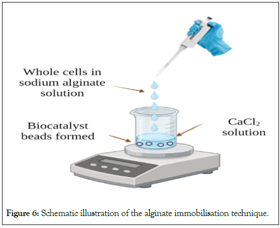 Microbial-Biochemical-illustration
