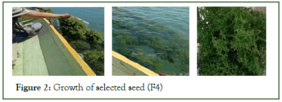 aquaculture-research-selected