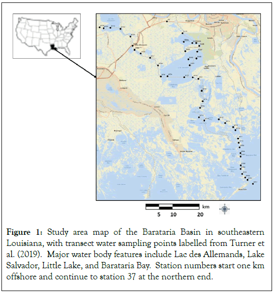 geophysics-remote-Barataria