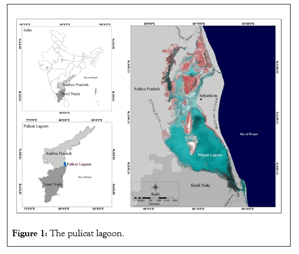 remote-sensing-pulicat