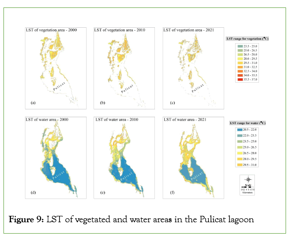 remote-sensing-vegetated