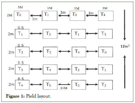 AGT-Field