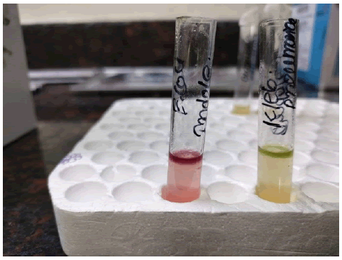 Clinical-Microbiology-representation