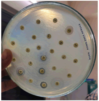 Clinical-Microbiology-susceptibility