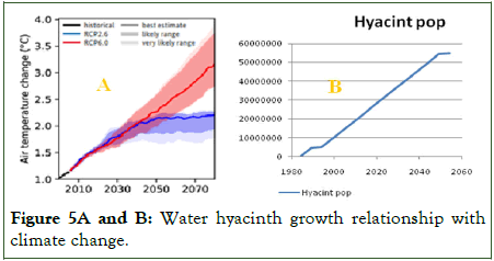 Coastal-Management