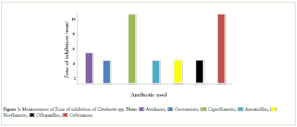 Experimental-Pharmacology-Ceftriaxone