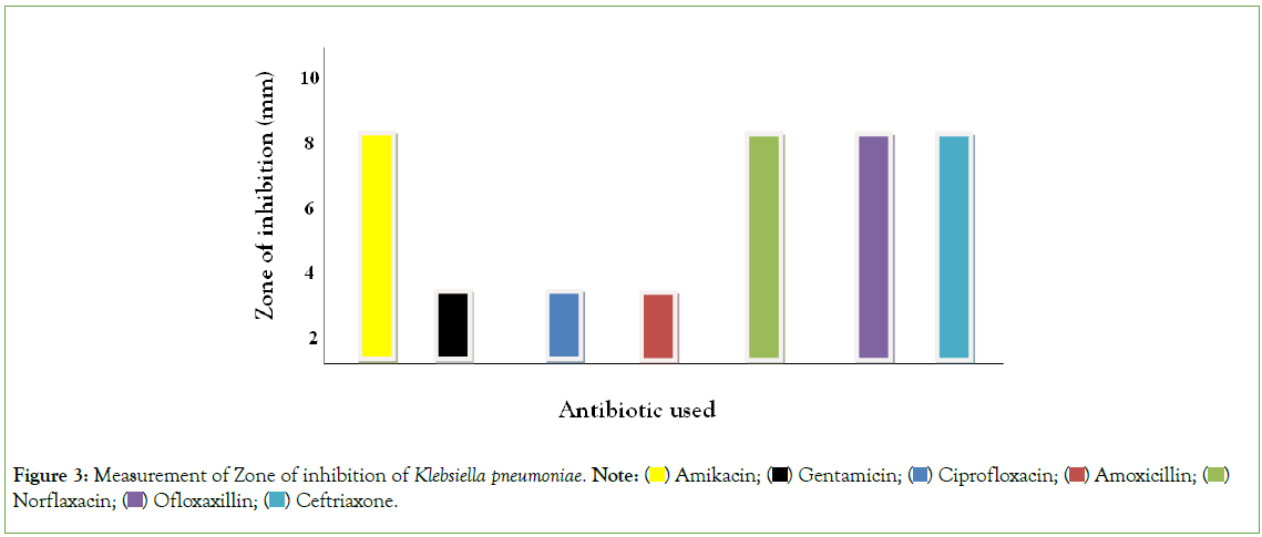 Experimental-Pharmacology-Klebsiella