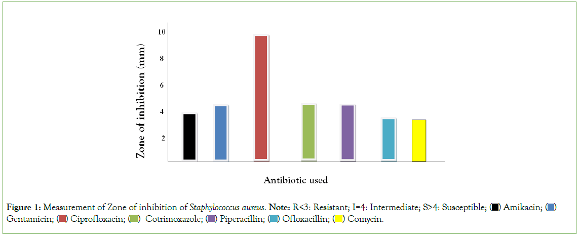 Experimental-Pharmacology-Staphylococcus