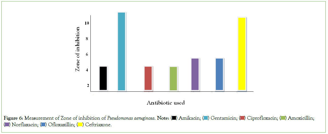 Experimental-Pharmacology-aeruginosa