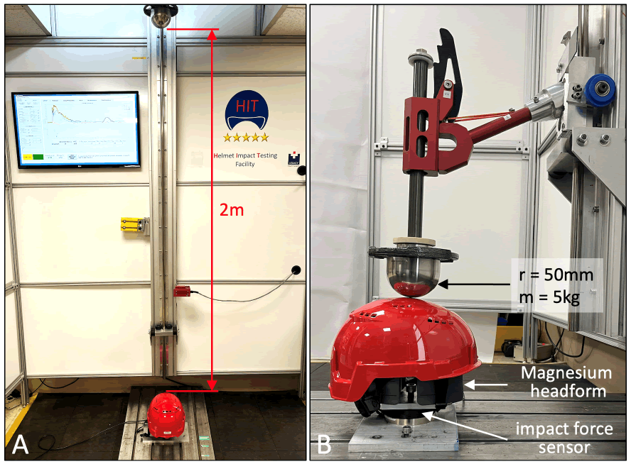 Forensic-Biomechanics-energy