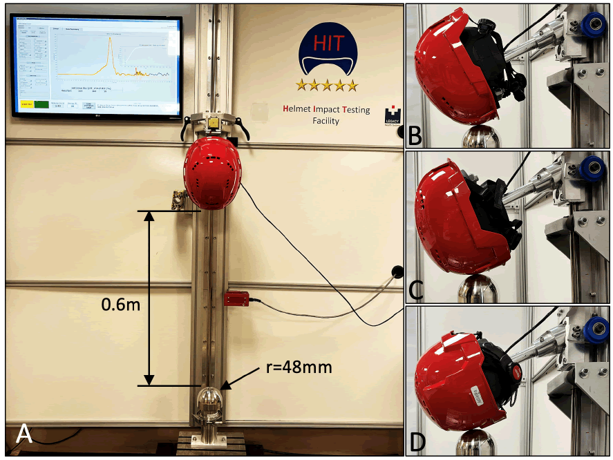 Forensic-Biomechanics-headform