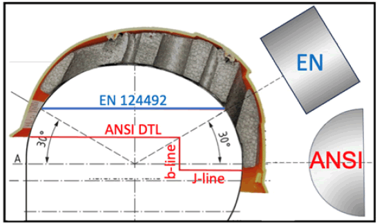 Forensic-Biomechanics-lateral