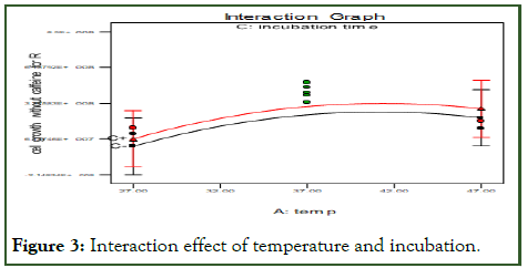 JFPT-effect