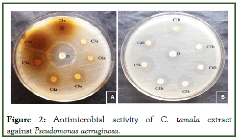 JNDT-Antimicrobial