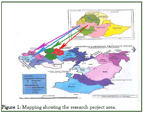 JPPM-Mapping