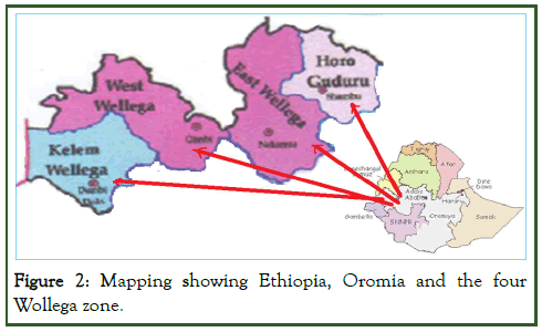 JPPM-Oromia