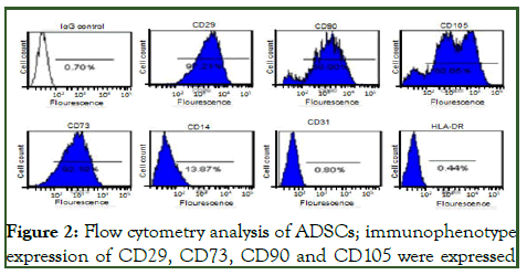 JSCRT-cytometry