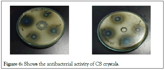 Microbial-Biochemical-antibacterial