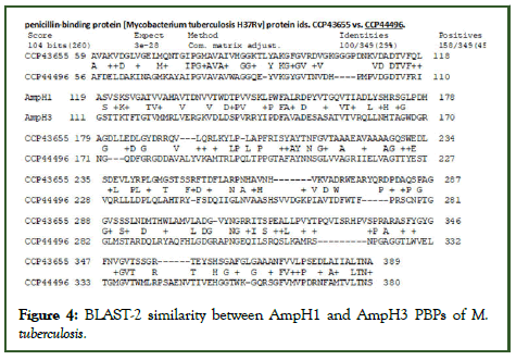 PDS-Amp