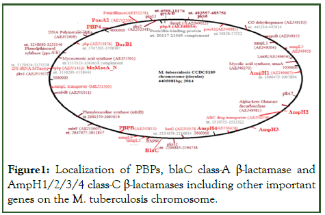 PDS-Localization