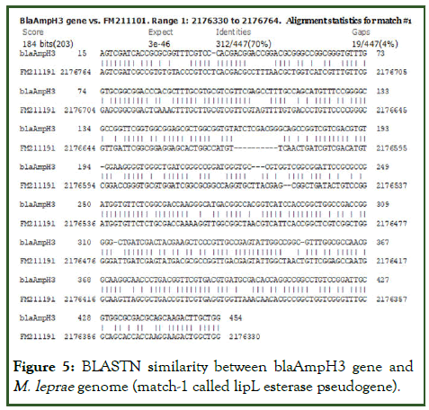 PDS-gene