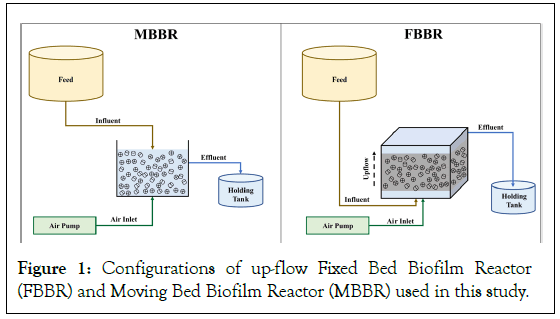 agriculture-health-Biofilm