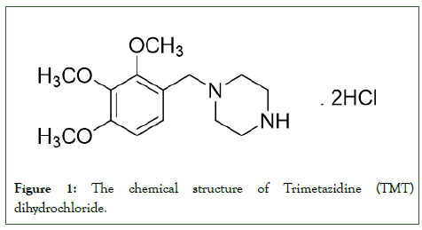 bioequivalence-bioavailability-diagram