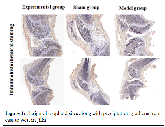 biology-medicine-group