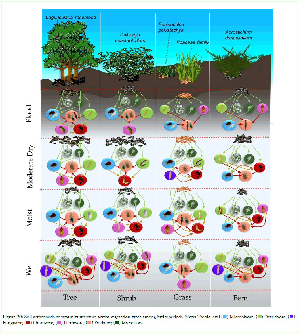 coastal-development-arthropods