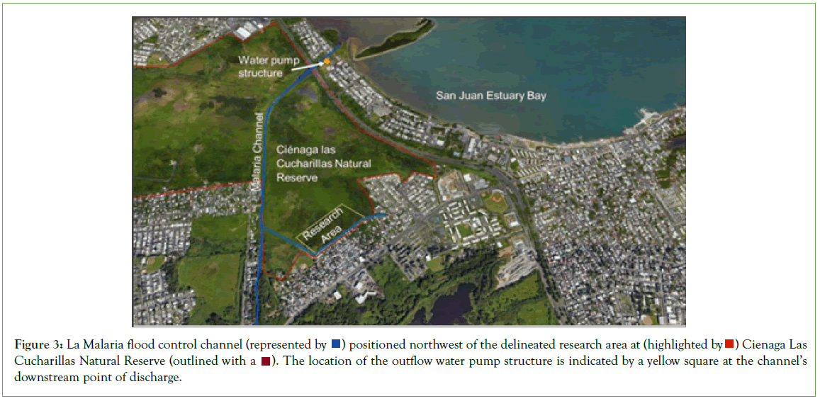 coastal-development-downstream