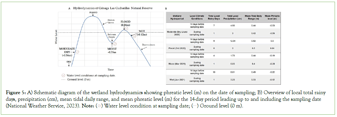 coastal-development-hydrodynamics