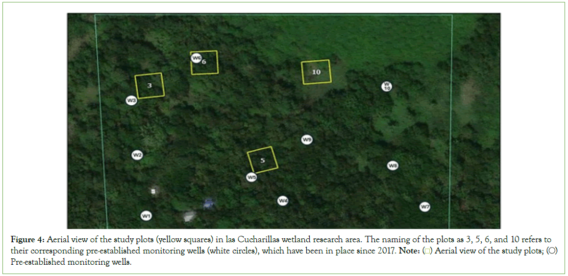 coastal-development-monitoring