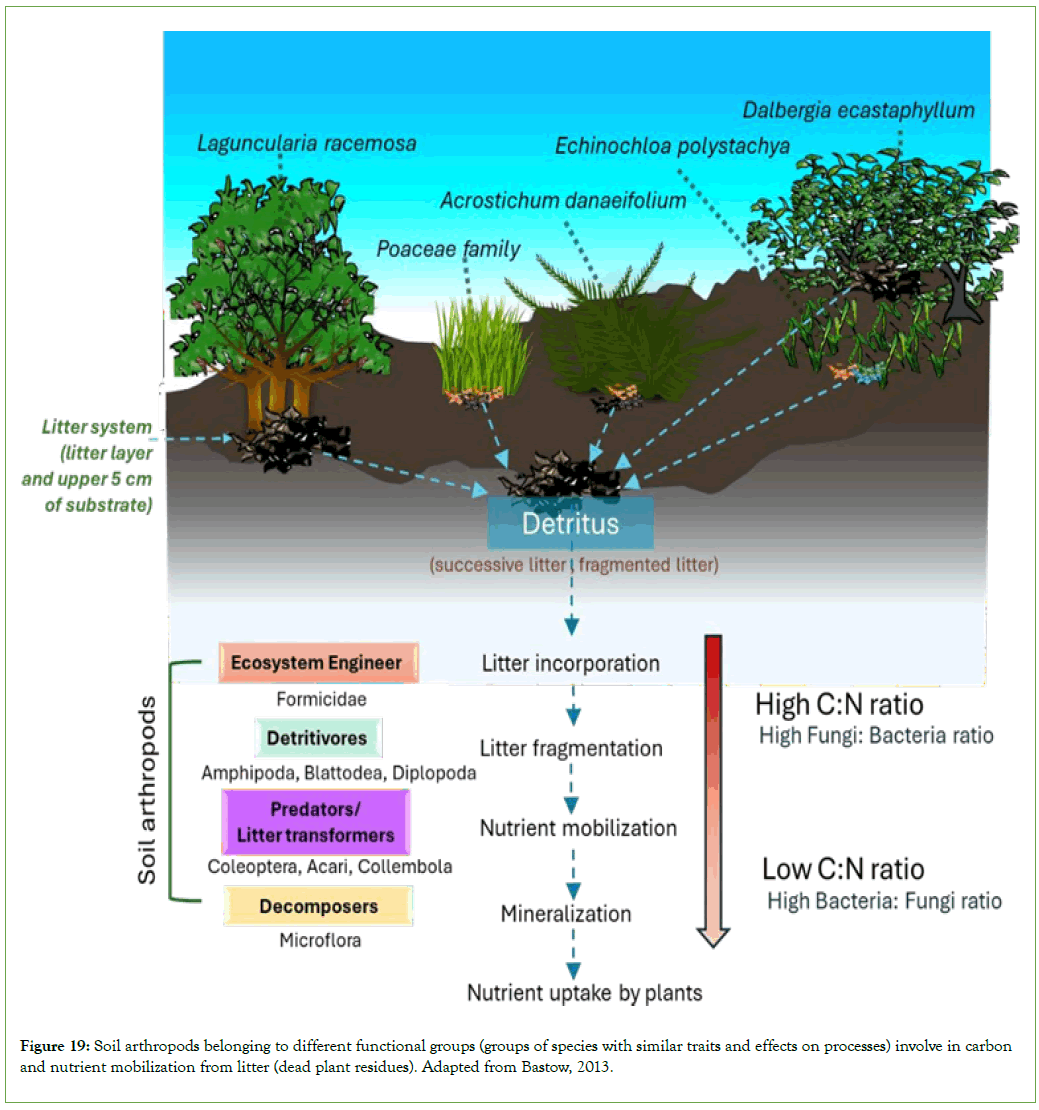 coastal-development-processes