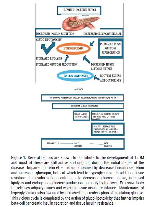 diabetes-metabolism-Several