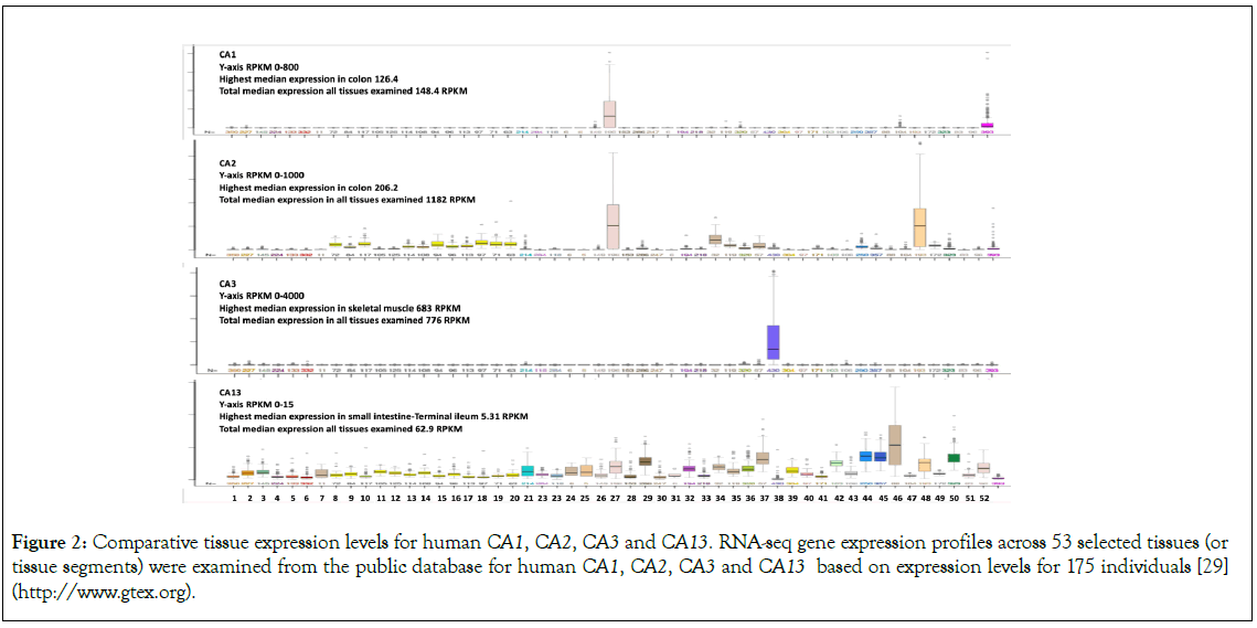 genomics-proteomics-profiles