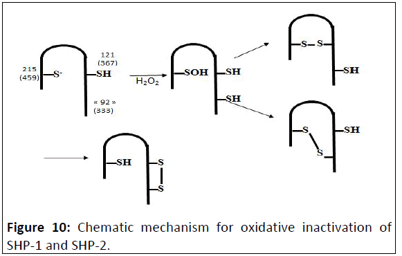 ipacr-Chematic